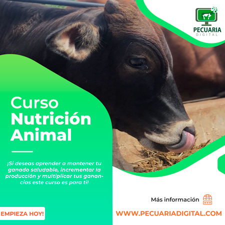 Curso de Nutrición Animal | Pecuaria Digital