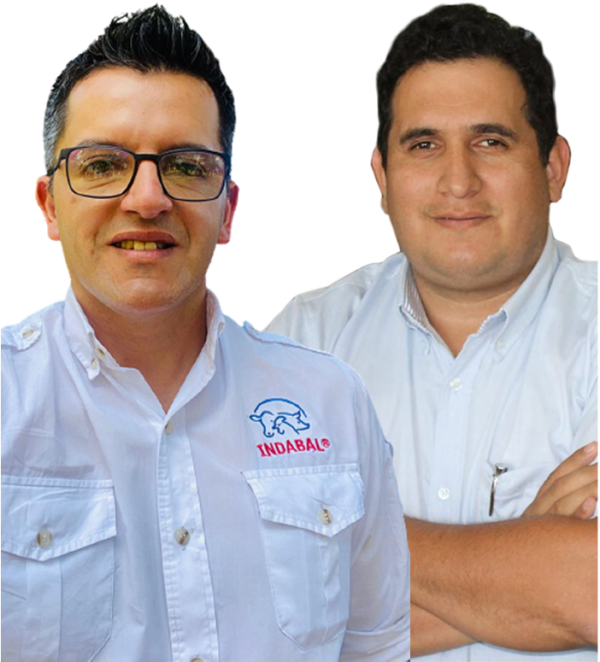 Asesoramiento Online 1 a 1