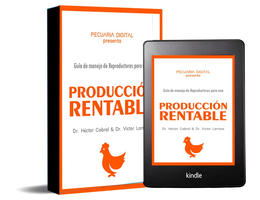 finalslide
