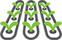 iconos plantas hidroponia-90