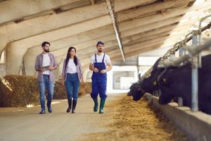 liderar negocios agropecuarios