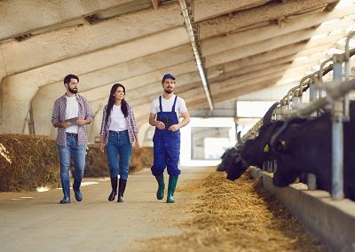 liderar negocios agropecuarios